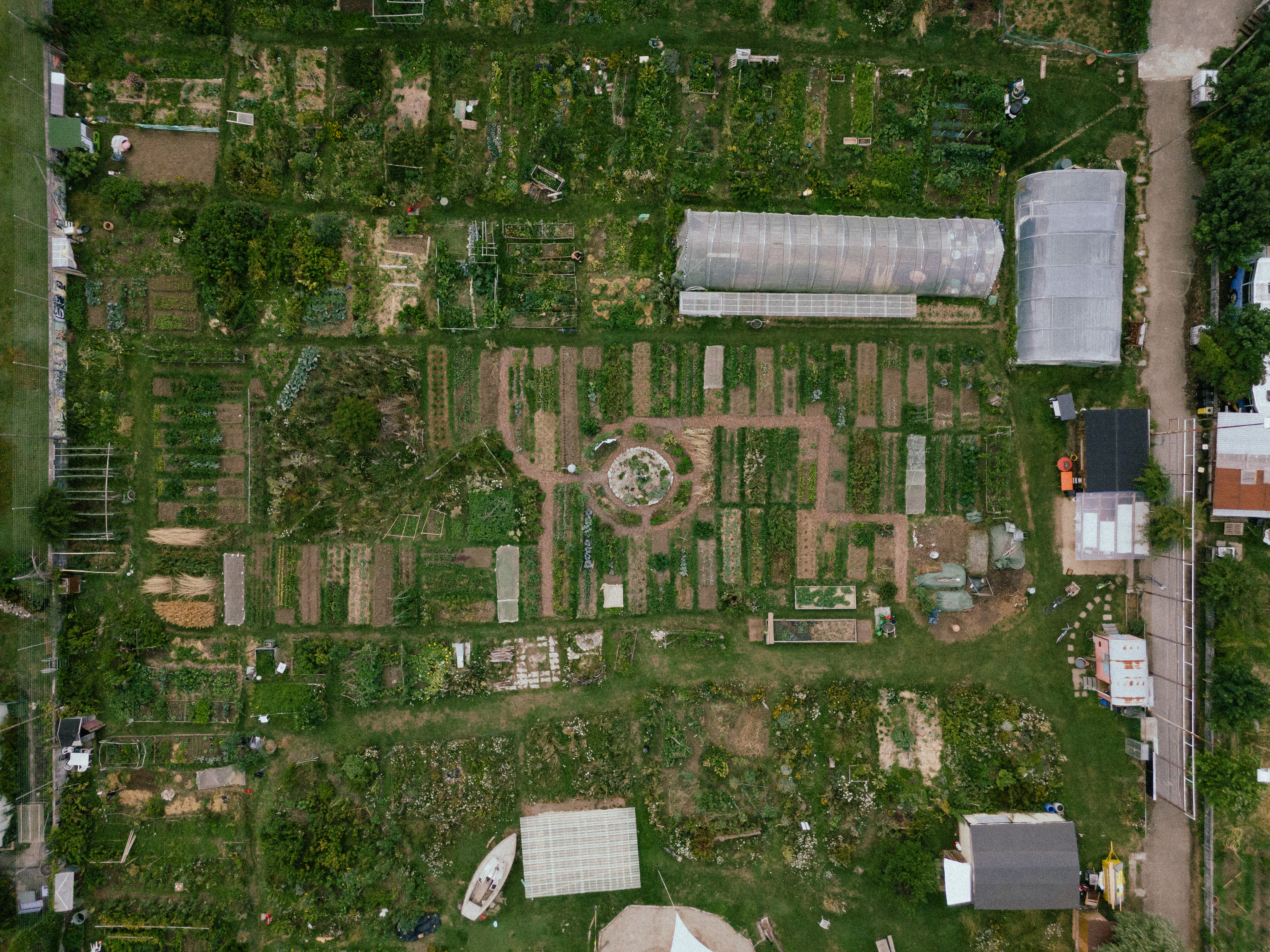 DJI_20250722113235_0054_D.JPG