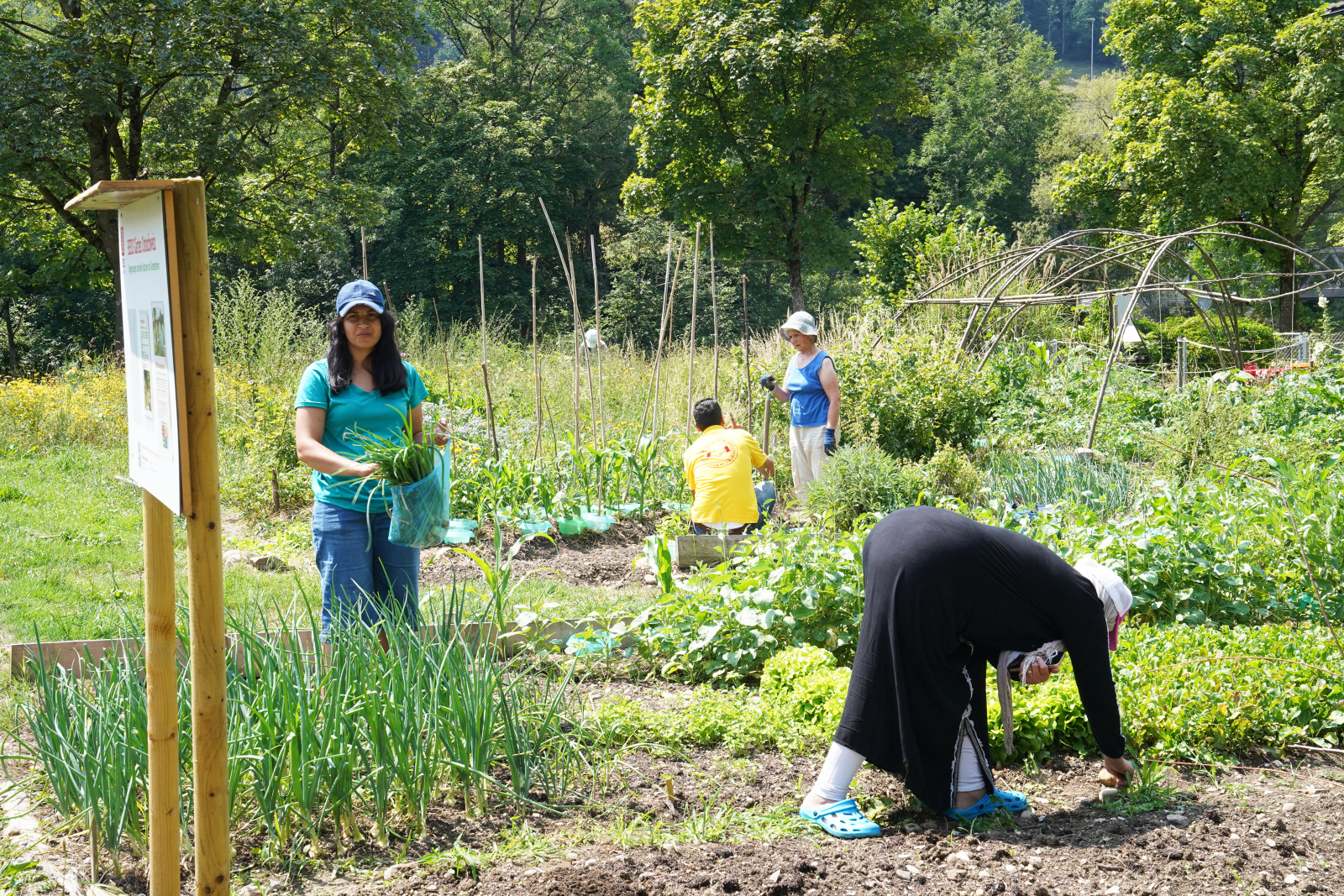 HEKSFoto_ 230610_HEKS-Garten Lichtensteig _Michèle Mettler_47912 (2).jpg