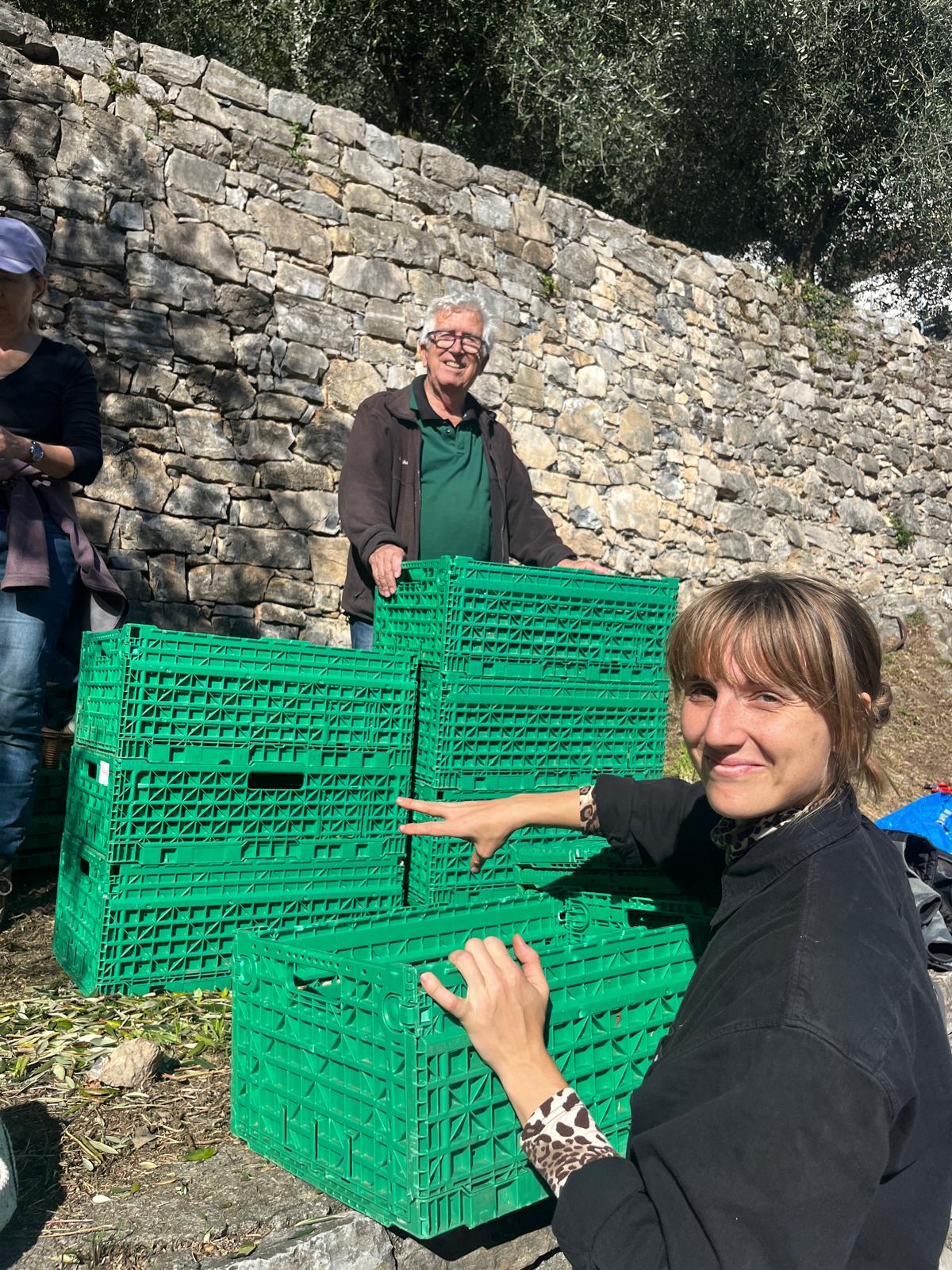 Olive-Gandria (7).jpg