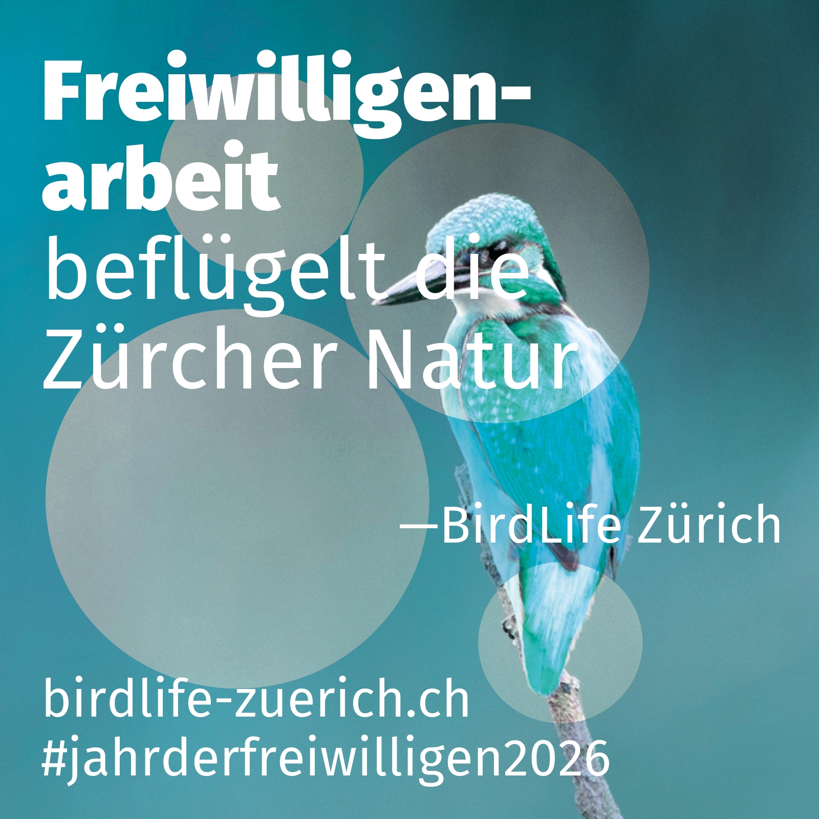 beflügelt die Zürcher Natur