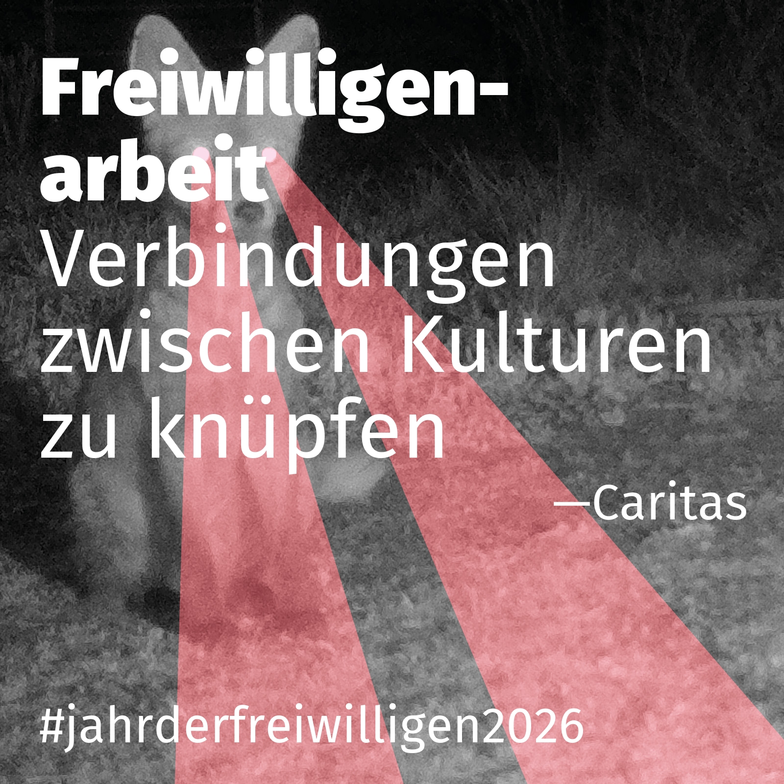 Verbindungen zwischen Kulturen zu knüpfen