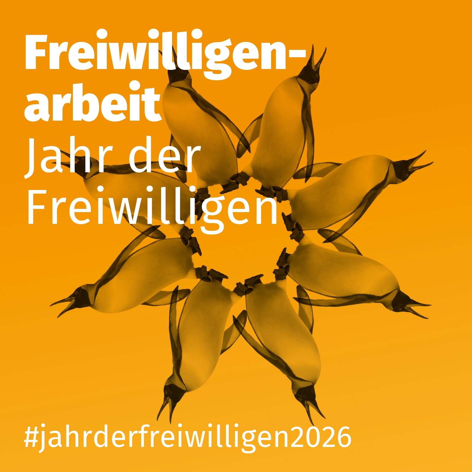 Jahr der Freiwilligen