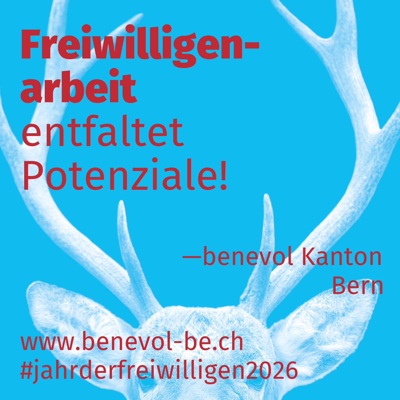 entfaltet Potenziale!