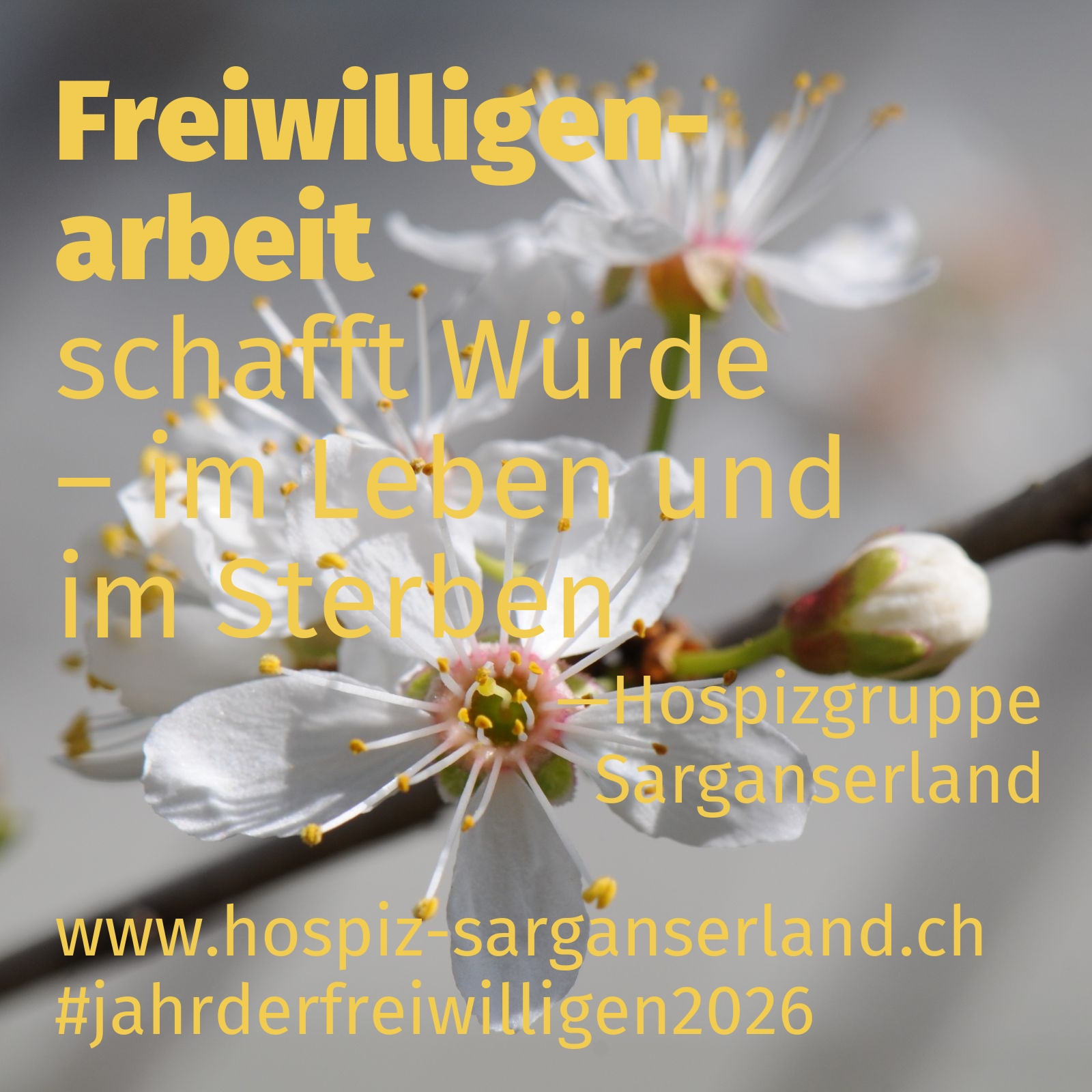 schafft Würde – im Leben und im Sterben