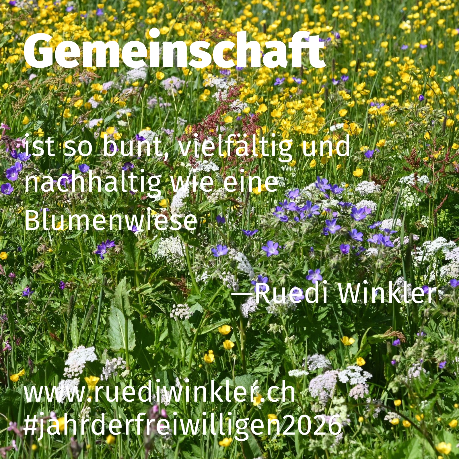 ist so bunt, vielfältig und nachhaltig wie eine Blumenwiese