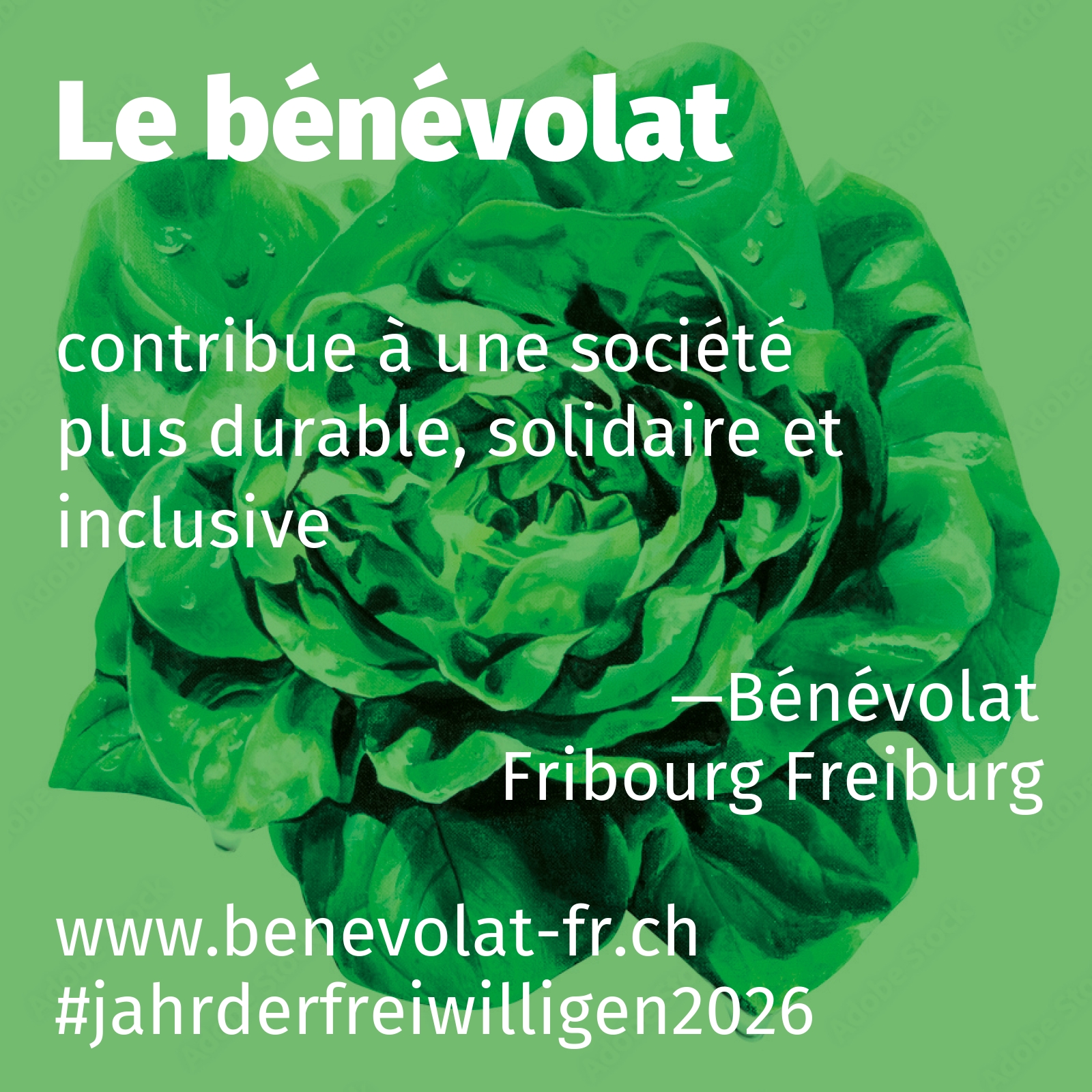 contribue à une société plus durable, solidaire et inclusive