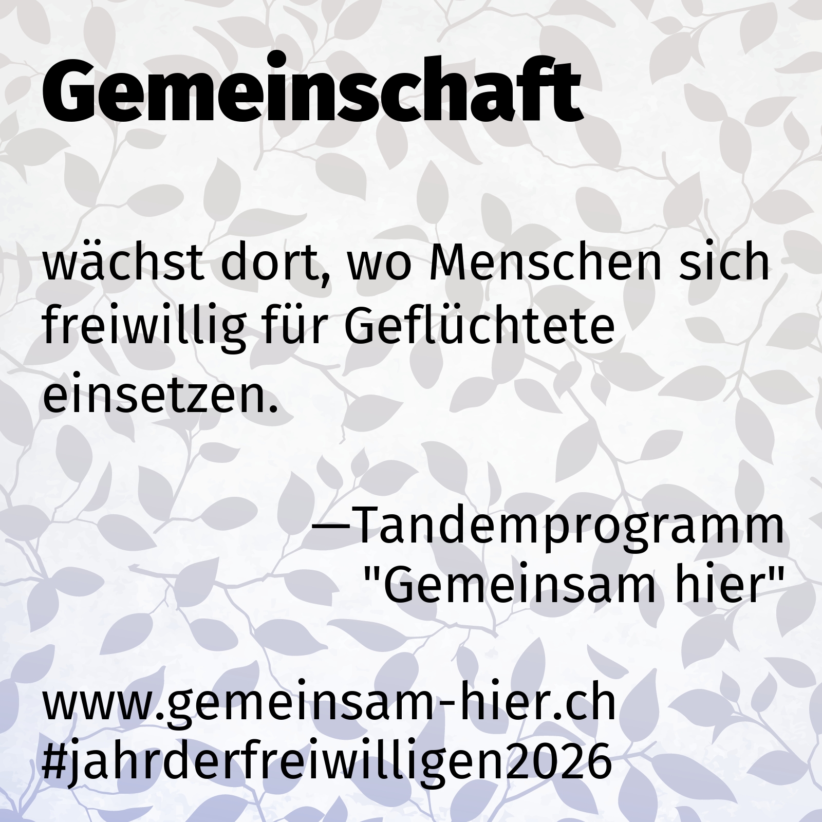 wächst dort, wo Menschen sich freiwillig für Geflüchtete einsetzen.